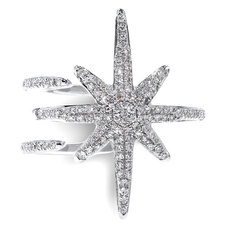 
  
  14k White Gold Large Starburst Open Design Diamond Ring
  
