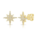 
  
  14K Yellow Gold Diamond Starburst Earrings
  
