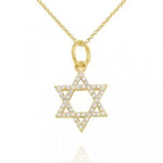 
  
  14k YG Diamond Star of David Pendant Necklace
  
