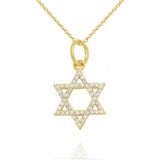 
  
  14k YG Diamond Star of David Pendant Necklace
  
